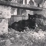 Casa Lisetta Frühstückspension Valtopina