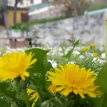 Frühstückspension Casa Lisetta