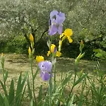 Frühstückspension Casa Lisetta Valtopina