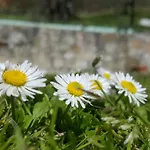Frühstückspension Casa Lisetta Valtopina