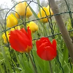 Casa Lisetta Frühstückspension 3*