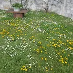 Casa Lisetta Frühstückspension 3*