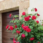 Casa Lisetta 3*