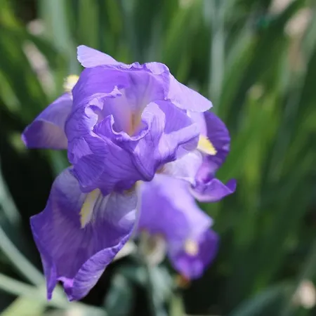 Bed & Breakfast Casa Lisetta Valtopina