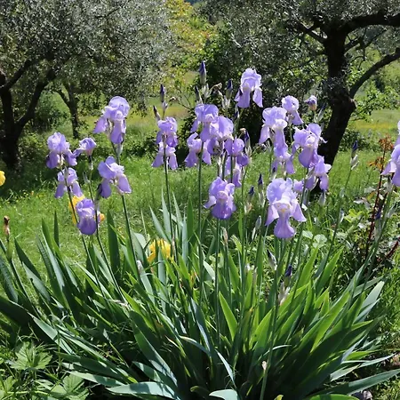 Casa Lisetta 3* Valtopina