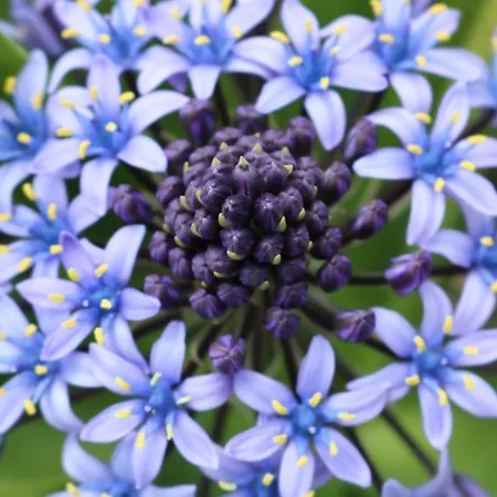 Bed & Breakfast Casa Lisetta 3*