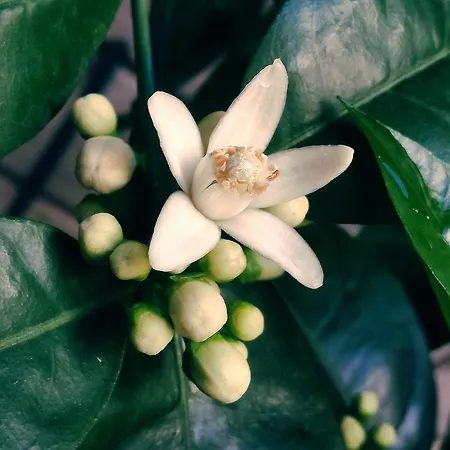 Bed & Breakfast Casa Lisetta Valtopina