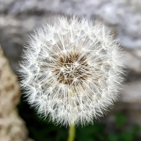 Bed & Breakfast Casa Lisetta Valtopina