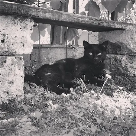 Casa Lisetta Bed & Breakfast Valtopina