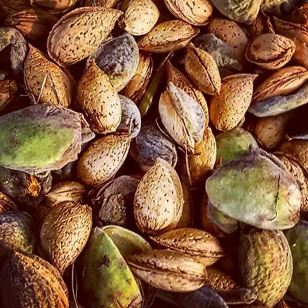 Casa Lisetta 3* Valtopina