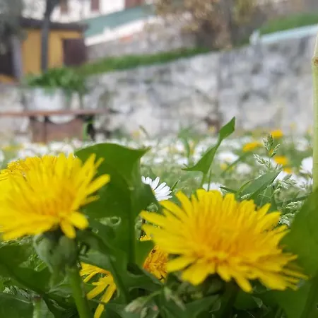 Bed & Breakfast Casa Lisetta