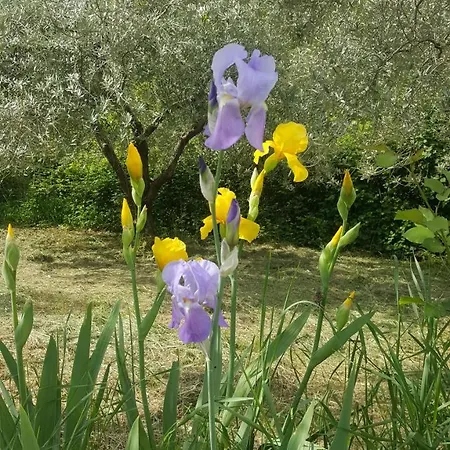 Bed & Breakfast Casa Lisetta Valtopina