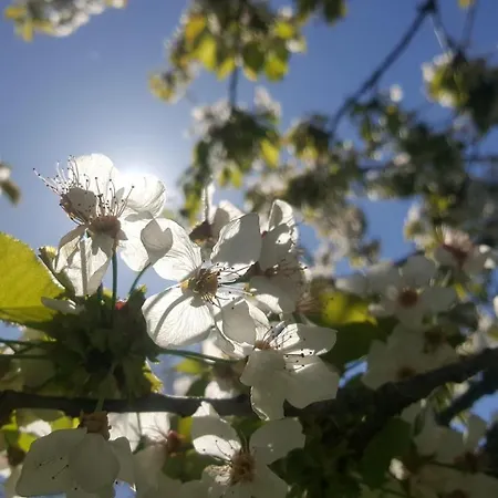 Bed & Breakfast Casa Lisetta Valtopina