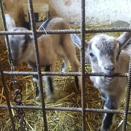 Casa Lisetta Bed & Breakfast Valtopina