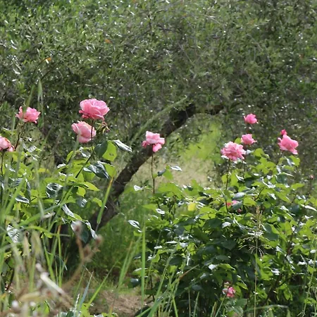 Bed & Breakfast Casa Lisetta Valtopina