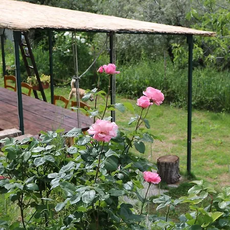 Bed & Breakfast Casa Lisetta Valtopina