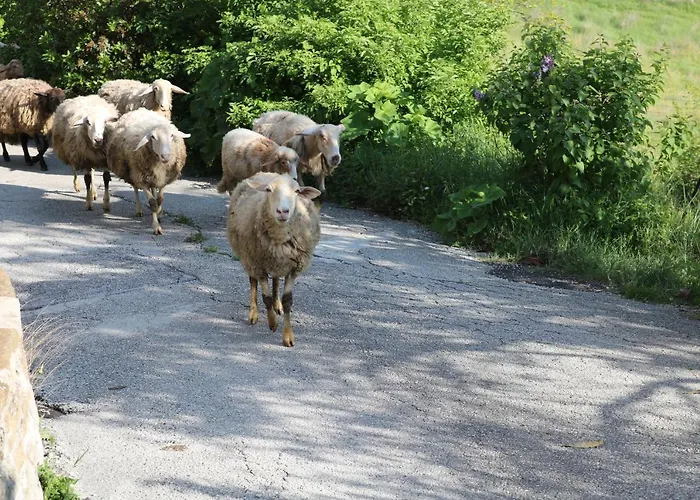 Bed & Breakfast Casa Lisetta