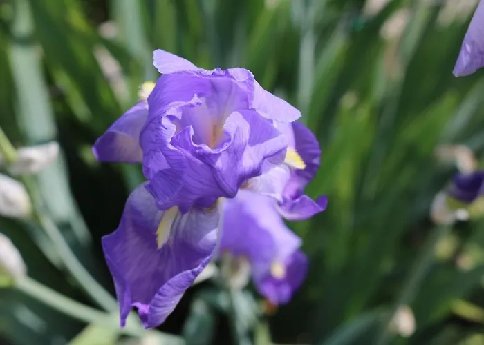 Bed & Breakfast Casa Lisetta Valtopina