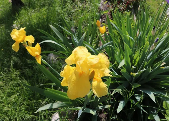 Casa Lisetta Valtopina