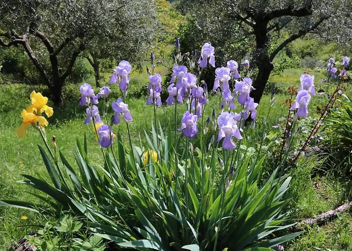 Casa Lisetta 3* Valtopina