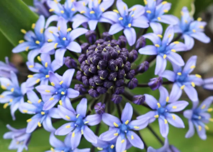 Bed & Breakfast Casa Lisetta 3*