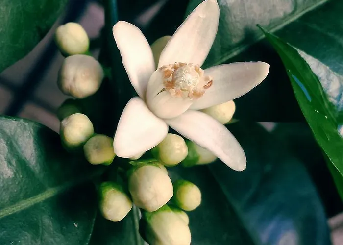 Bed & Breakfast Casa Lisetta Valtopina