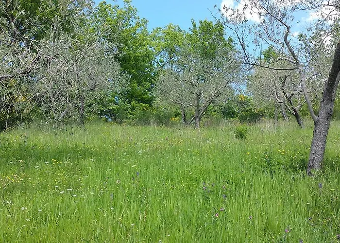 Bed & Breakfast Casa Lisetta