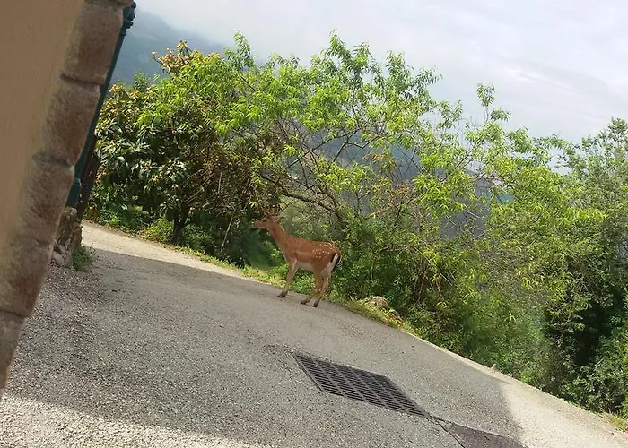 Bed & Breakfast Casa Lisetta 3*