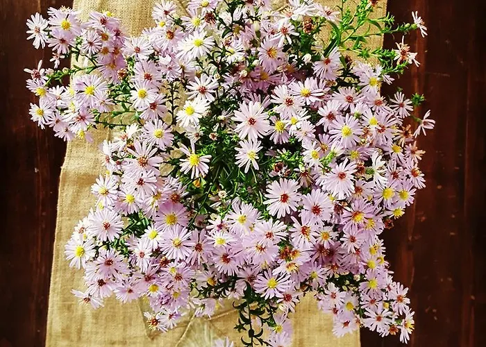 Casa Lisetta Bed & Breakfast 3*