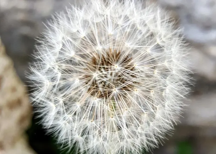 Bed & Breakfast Casa Lisetta Valtopina