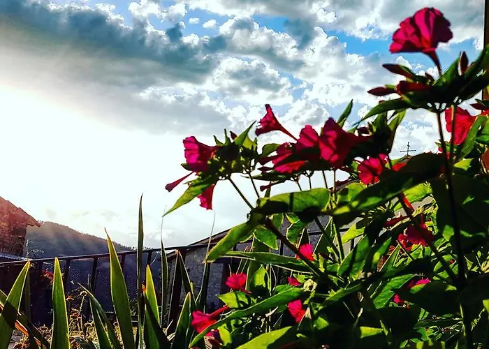 Bed & Breakfast Casa Lisetta