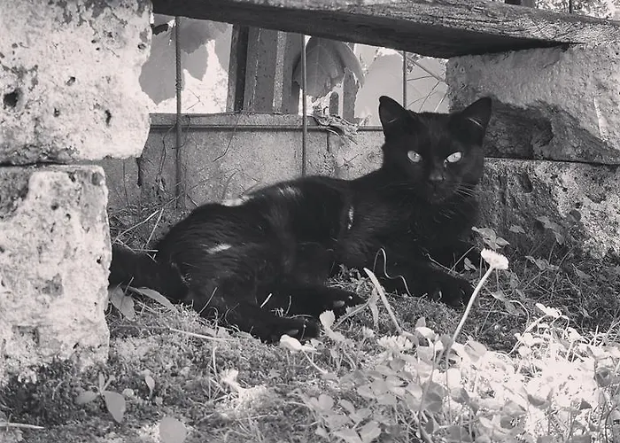 Casa Lisetta Bed & Breakfast Valtopina