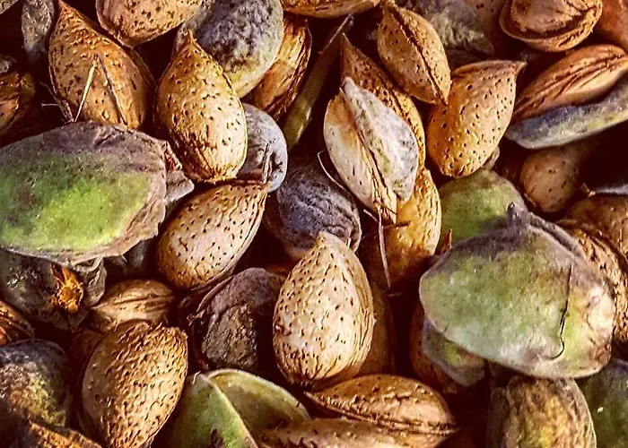 Casa Lisetta 3* Valtopina