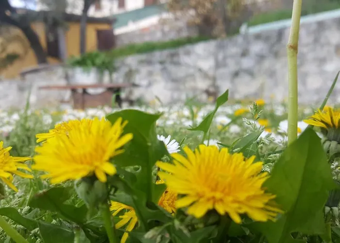 Bed & Breakfast Casa Lisetta