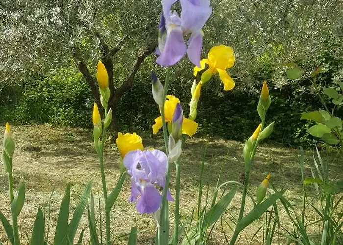 Bed & Breakfast Casa Lisetta Valtopina