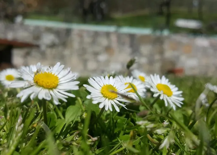 Bed & Breakfast Casa Lisetta Valtopina