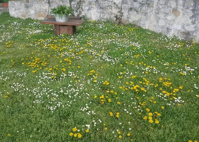 Casa Lisetta Bed & Breakfast 3*