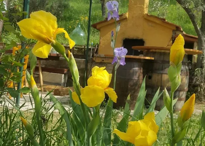 Bed & Breakfast Casa Lisetta Valtopina