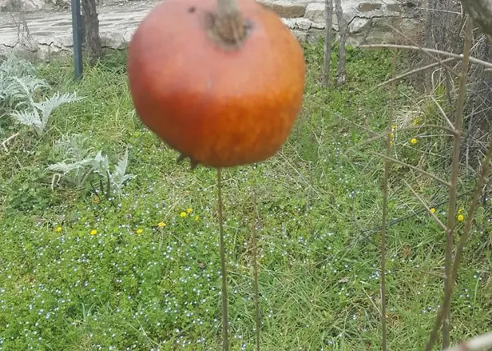 Casa Lisetta Bed & Breakfast