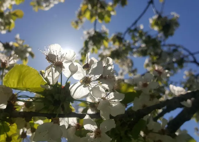 Bed & Breakfast Casa Lisetta Valtopina
