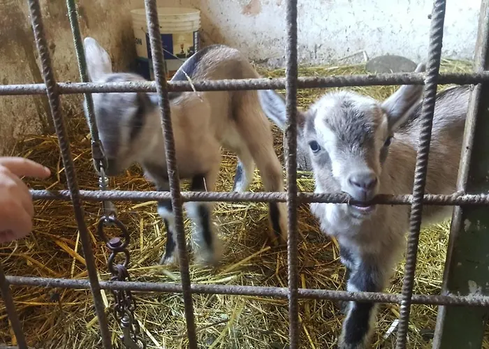 Casa Lisetta Bed & Breakfast Valtopina