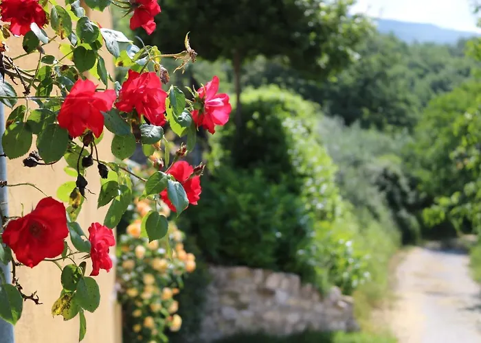 Casa Lisetta Valtopina