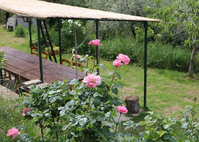 Bed & Breakfast Casa Lisetta Valtopina